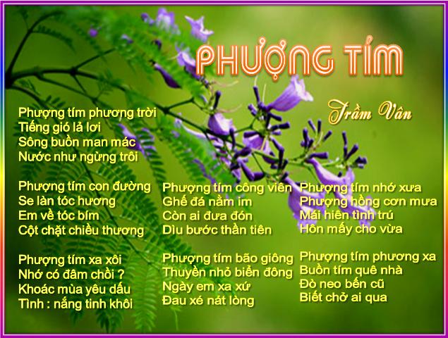 TV_Nov24_14_PhuongTim.jpg